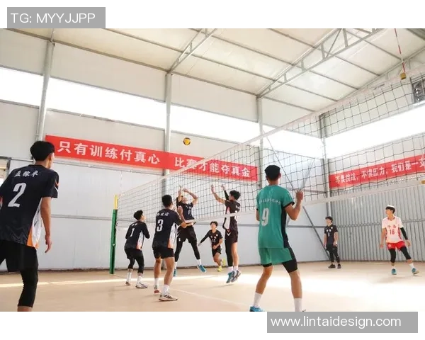 排球比赛经验排行榜揭晓上海排球队荣获第十名的背后故事