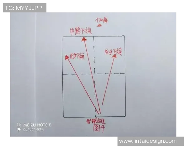 上海篮球队中路突破战术解析与球员表现深度剖析