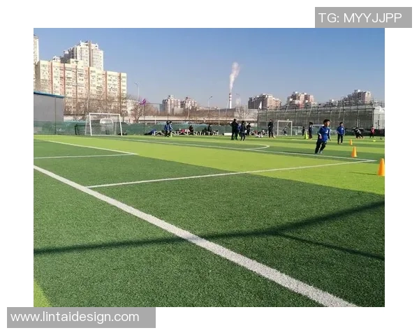 陈敏的足球人生深度对话：从绿茵场到人生哲学的探索与反思